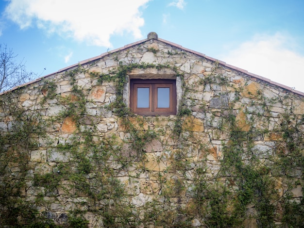 Close-up shot van een huis met stenen lichte muur en oud raam met groene planten