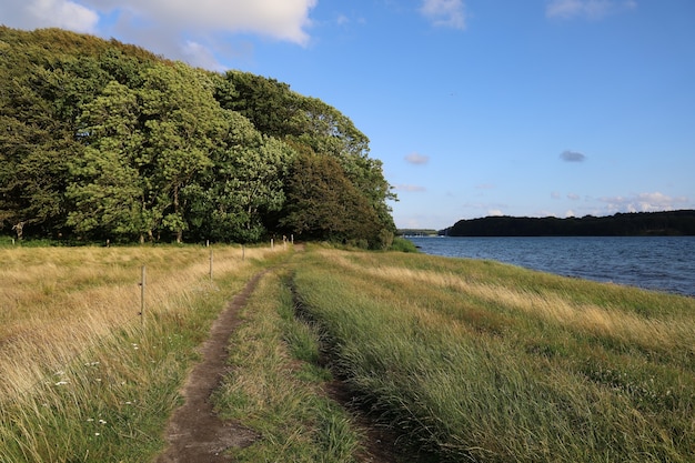 Gratis foto close-up shot van een landschap en bomen in de buurt van een rivier op een bewolkte dag