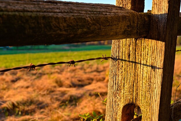 Close-up shot van een prikkeldraad op een houten hek in een veld onder het zonlicht