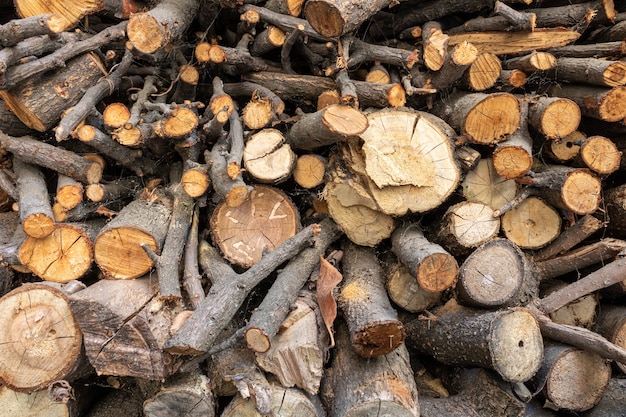 Close-up shot van gedroogde boomstammen prachtig geordend in een stapel, voorbereid voor verder gebruik