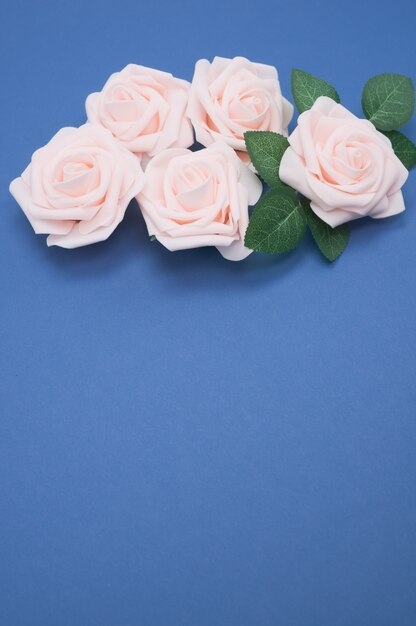 Close-up shot van roze rozen geïsoleerd op een blauwe achtergrond met kopie ruimte