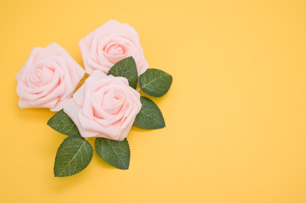 Close-up shot van roze rozen geïsoleerd op een gele achtergrond met kopie ruimte