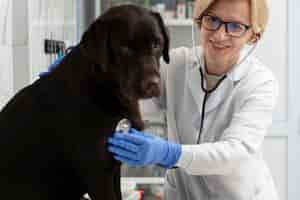 Gratis foto close-up smiley vrouw controleren hond