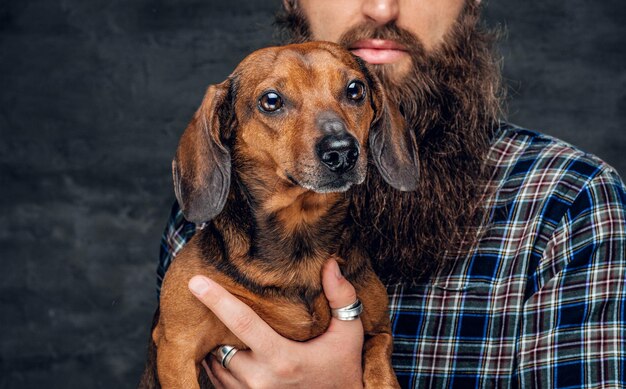 Close-up studio portret van schattige bruine das hond en zijn bebaarde man vriend.