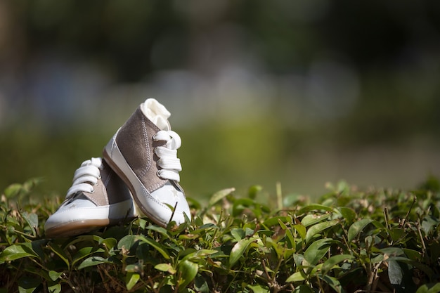 Close-up van baby sneakers op het gazon in zonlicht met een onscherpe achtergrond