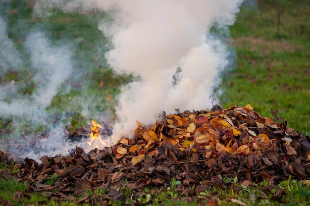Close-up van brandende droge bladeren op de grond