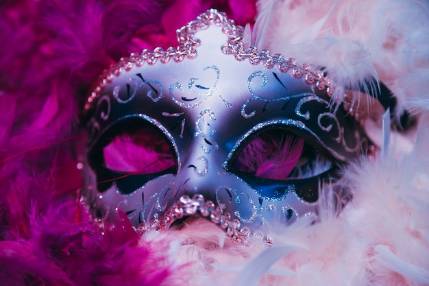 Close-up van carnaval Venetiaans masker op zachte veren