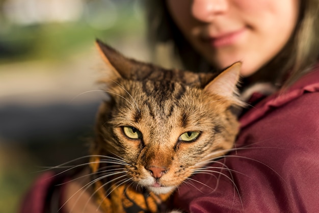 Gratis foto close-up van cyperse kat