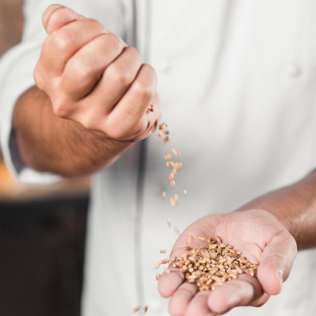 Close-up van de hand die van de mannelijke bakker tarwekorrels op handen morsen