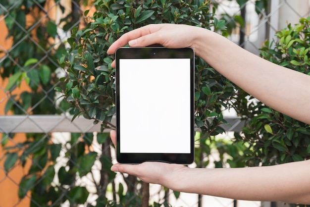 Close-up van de hand die van een vrouw digitale tablet met het lege witte scherm houden