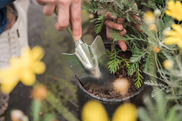 Close-up van de hand van een vrouw met behulp van hand schop tijdens het planten in de pot