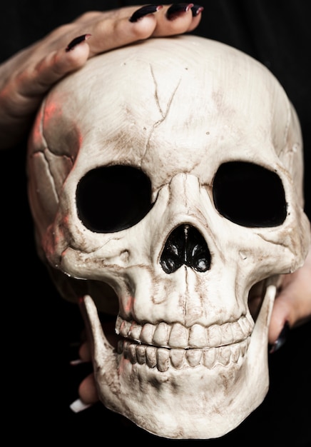 Close-up van de schedel van de vrouwenholding