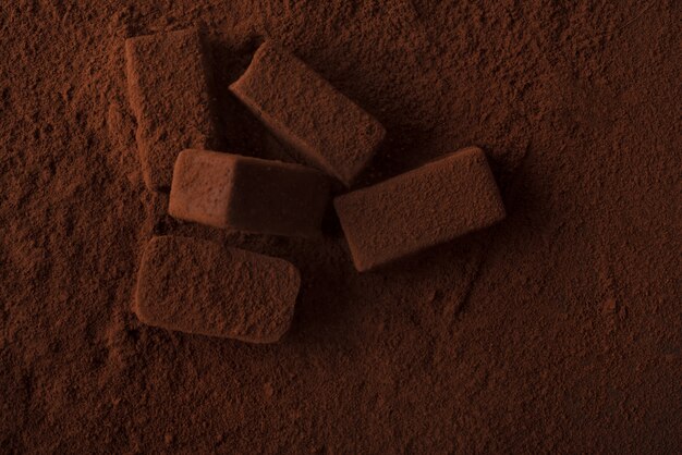 Close-up van donkere smakelijke chocolade snoepjes bedekt met chocoladepoeder