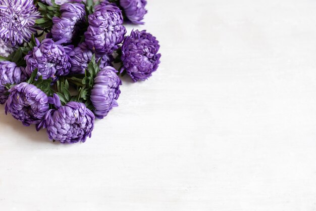 Close-up van een boeket verse blauwe chrysanten op een witte achtergrond, kopieer ruimte.