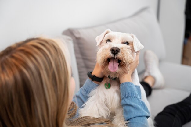 Close-up van eigenaar die het hoofd van een schattige hond vasthoudt
