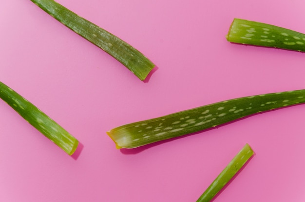 Close-up van groene aloëVera-bladeren op roze achtergrond