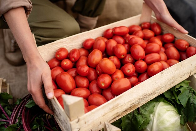 Close-up van heerlijke biologische tomaten