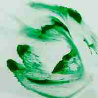 Gratis foto close-up van heldergroen aquarel penseelstreken geschilderd op wit oppervlak