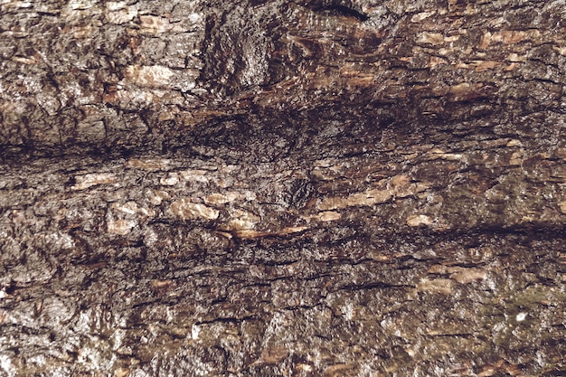 Close-up van houten textuurachtergrond