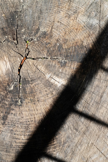 Close-up van houtstructuur achtergrond