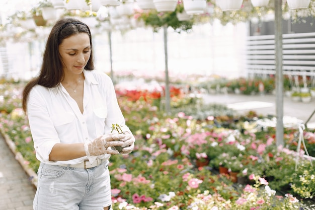 Close up van lachende charmante jonge vrouwelijke tuinman in witte blouse. Vrouw met jonge plant in pot in haar handen. Kaukasische vrouw die in kas staat