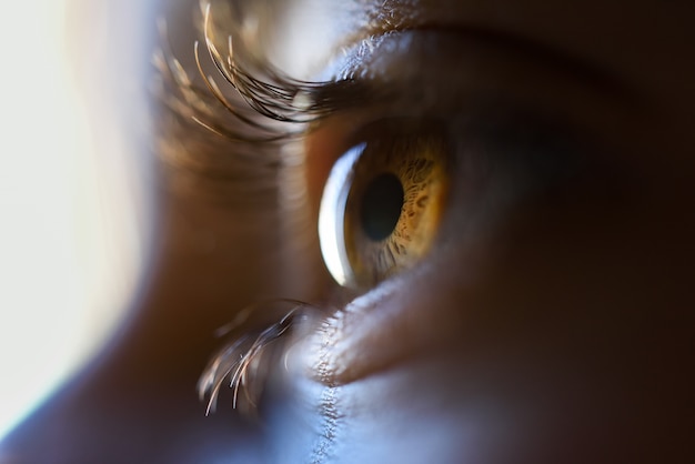 Close-up van mooi meisje bruin oog