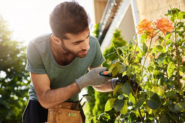 Close up van mooie bebaarde bloemist in blauw t-shirt met tuingereedschap dode bloemen snijden, zomerochtend doorbrengen in plattelandshuis.