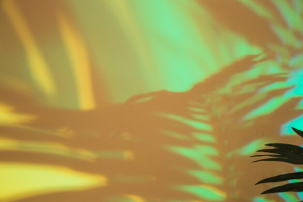 Close-up van palmbladen schaduw op groene achtergrond