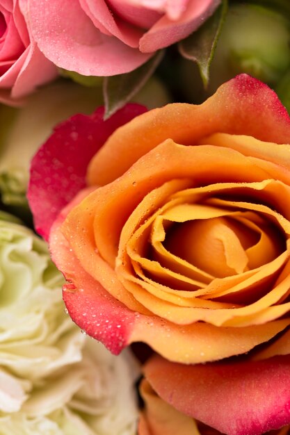 Close-up van prachtig uitgebloeide bloemen