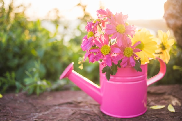 Close-up van roze gieter met mooie bloemen