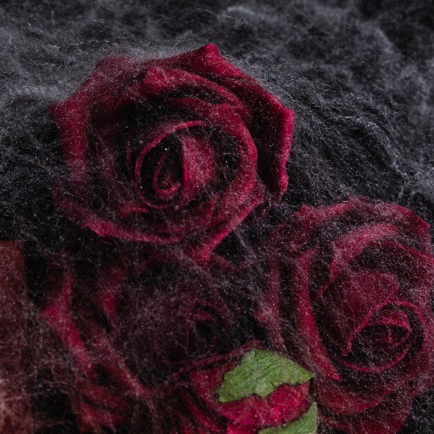 Close-up van rozen met spinnenweb