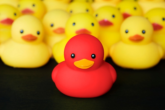 Close-up van rubber duckies