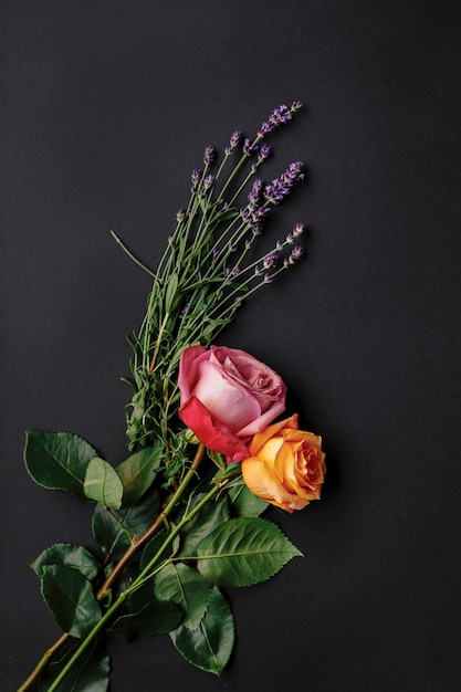 Gratis foto close-up van twee kleurrijke rozen op zwarte achtergrond