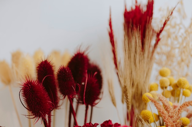 Gratis foto close-up van verschillende gedroogde rode en gele bloemen