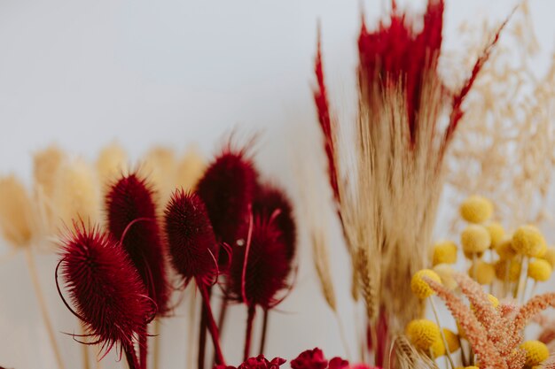 Close-up van verschillende gedroogde rode en gele bloemen