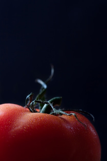 Gratis foto close-up van verse tomaten