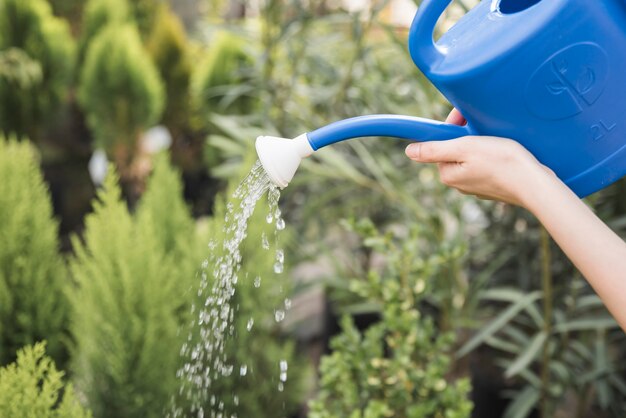 Close-up van vrouwelijke water geven de planten met blauwe kan