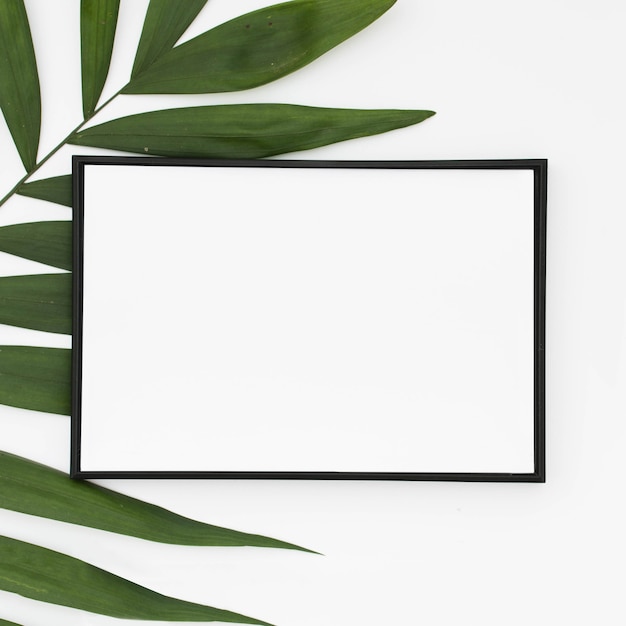 Gratis foto close-up van wit leeg kader met groene palmbladen dat op witte achtergrond wordt geïsoleerd