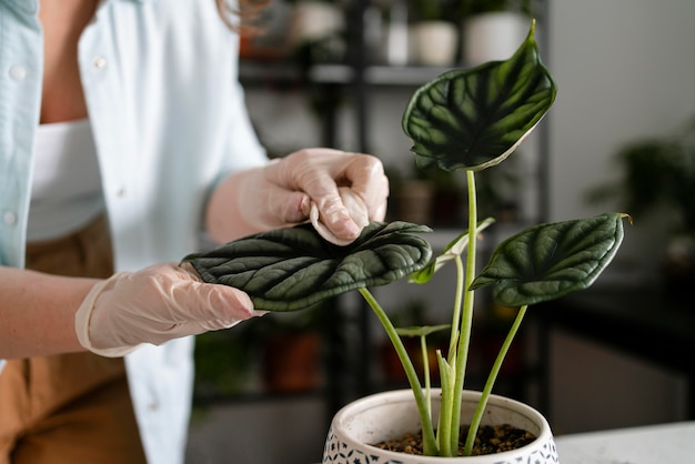 Gratis foto close-up vrouw groeiende planten