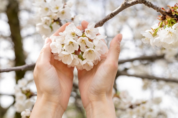 Close-up vrouw met boom bloemen in handen