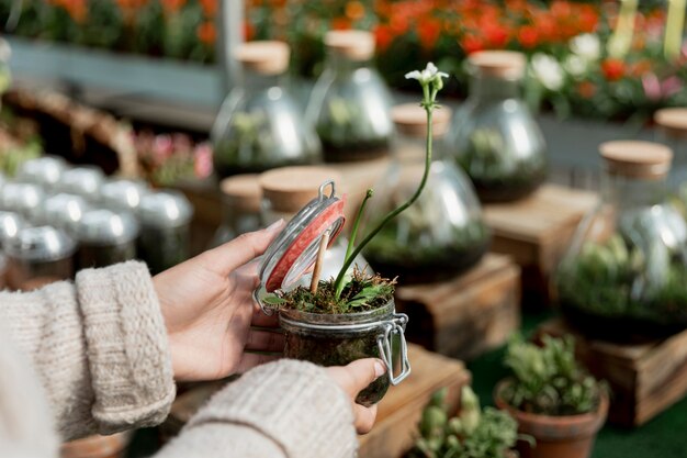 Close-up vrouw met plant groeit in pot