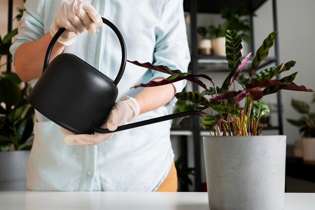 Close-up vrouw plant pot water geven