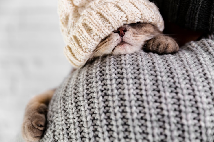Gratis Foto close-up winter kleding dragen