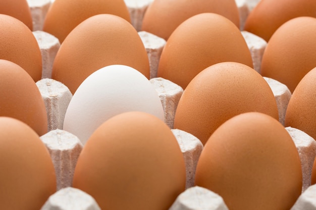 Close-upbekisting met eieren