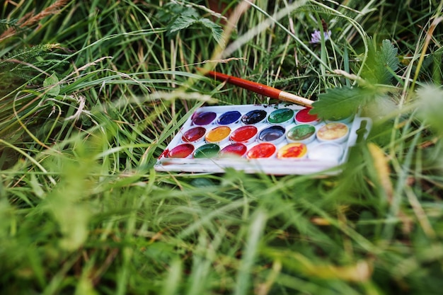 Close-upfoto van waterverfpalet met borstel die op het gras legt