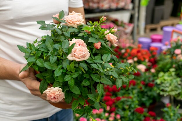 Close-upmens die elegante bloemen houden