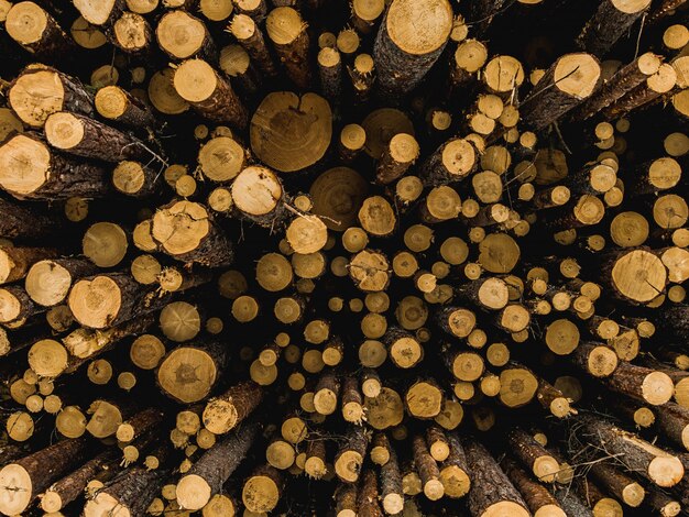 Close-upschot van gehakt brandhout