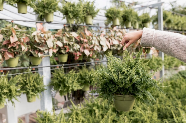 Gratis foto close-upvrouw in bloemenmarkt