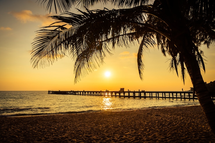 Gratis Foto coconut palmboom