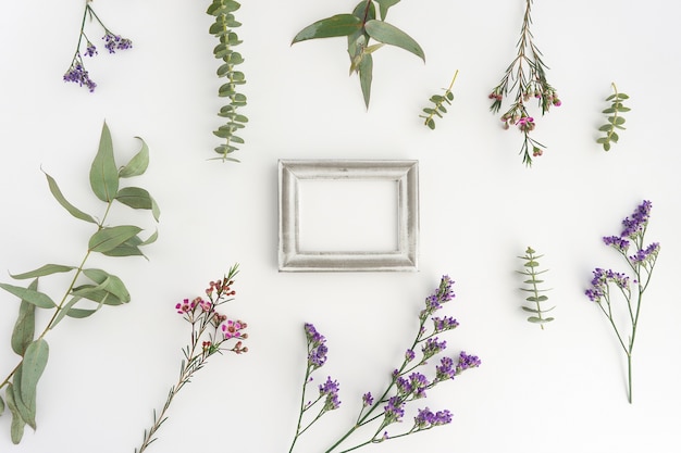 Gratis foto compositie met zilveren frame en planten